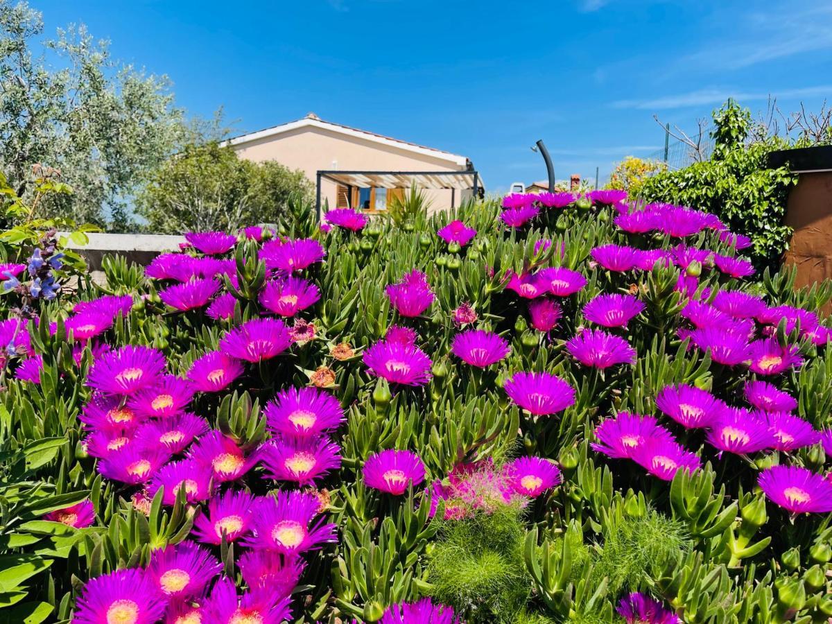 Holiday House Tesser With Pool Galizana Экстерьер фото