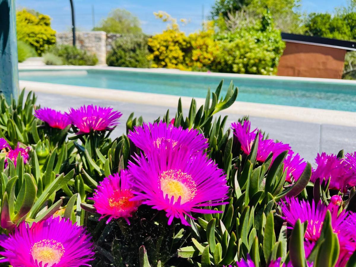 Holiday House Tesser With Pool Galizana Экстерьер фото